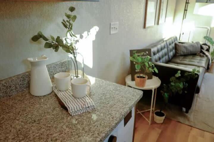 Hip Container Apt - 5 Min Walk To Tiaa Bank Джэксонвиль Экстерьер фото